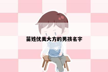苗姓优美大方的男孩名字