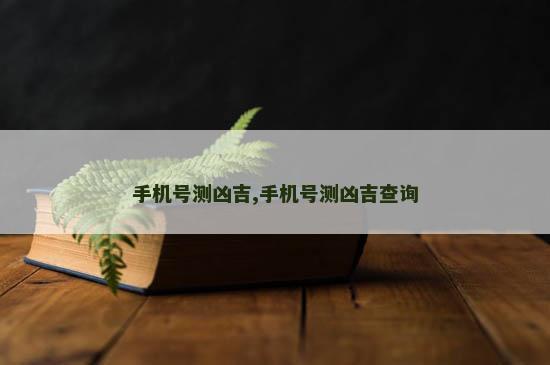 手机号测凶吉,手机号测凶吉查询