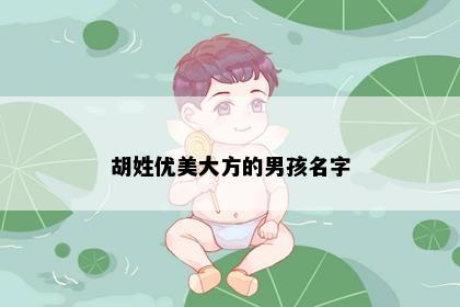 胡姓优美大方的男孩名字